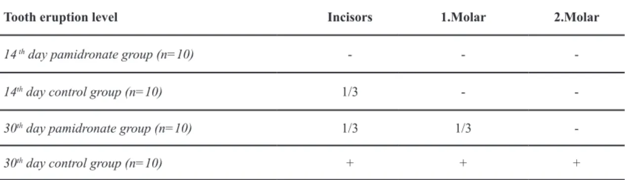 Table 1. Level of mandibular tooth eruption in pamidronate and control groups.