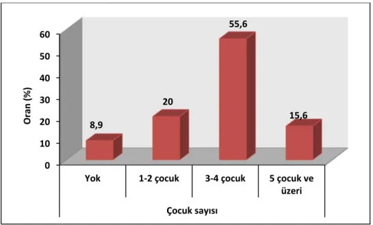 Şekil 3: Çocuk Sayısı Dağılımı 