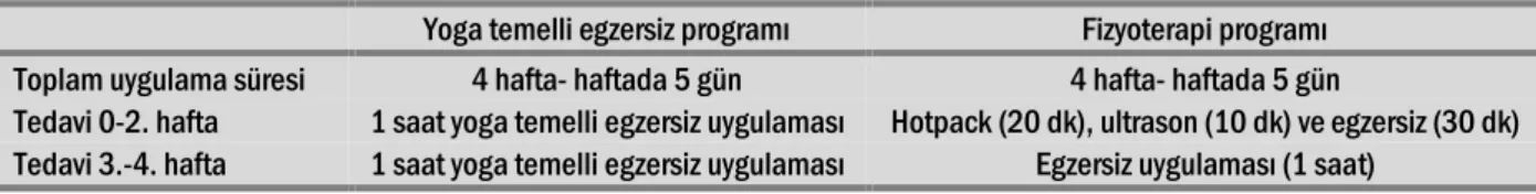 Tablo 1. Uygulanan tedavi programları. 