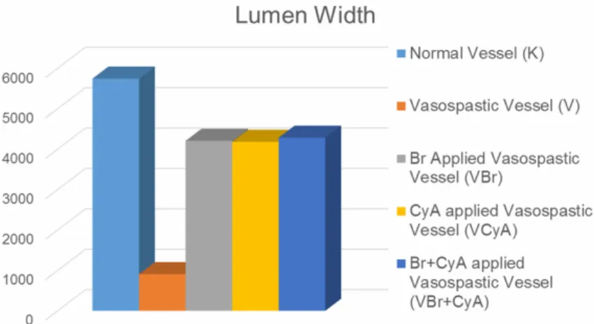 Figure 8. Comparision of lumen widths between normal vessel, vasospastic  vessel and Br or CyA or both applied vasospastic vessel.