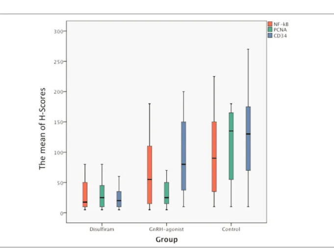 Figure 3. The mean of H-scores for NF-κB, PCNA, and CD34 in each treatment and control groups.