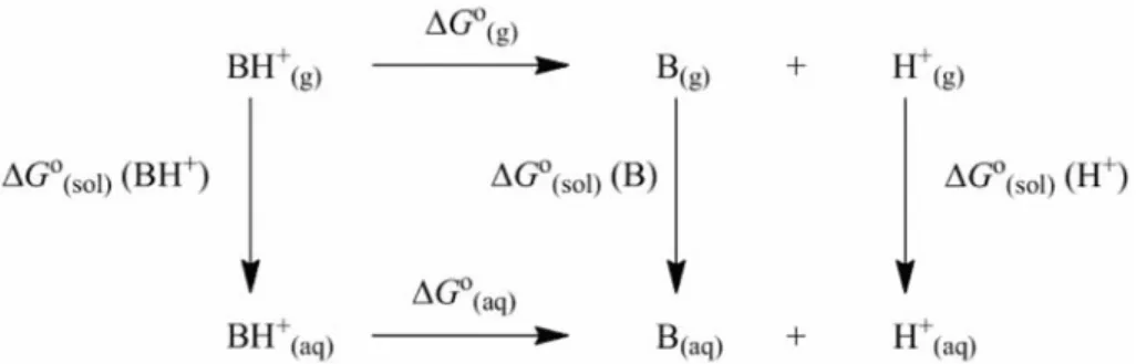 Figure 1 — Thermodynamic cycle illustrating the calculation of theoretical pK a  values 