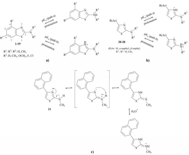 Figure 2 — Protonation pattern of studied (a) 2-aminobenzothiazole, (b) 2-aminothiazole derivatives and possible   protonation pattern for molecule 21 (c) 