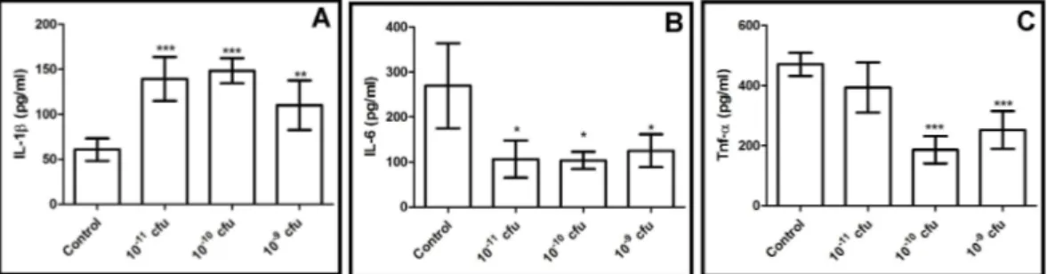 Figure 1. Pro-inflammatory cytokines levels of all experimental groups A: IL-1-β levels; B: IL-6  levels  and  C:  TNF-α  levels  *p  &lt;0.05  difference  within  probiotic  application  groups  and  from  control group