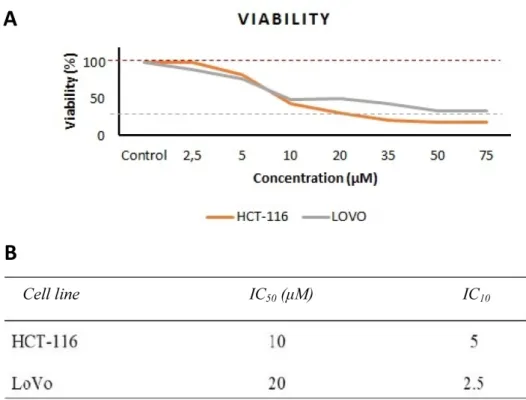 Figure 1. A: Dose-dependent cytotoxicity of curcumin on HCT-116 (orange) and LoVo (gray) cells incubated with increas- increas-ing concentrations of curcumin (p<0.05)