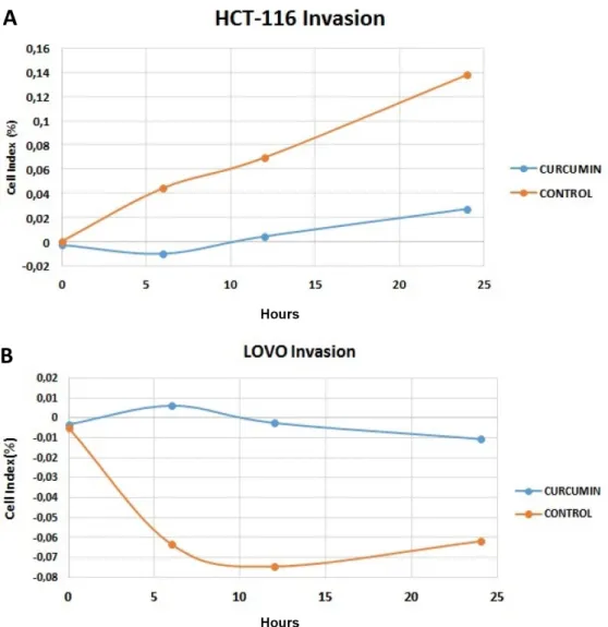 Figure 3. Cell invasion results of curcumin on A: HCT-116 and B: LoVo cell lines at 24 h (orange control, blue curcumin)