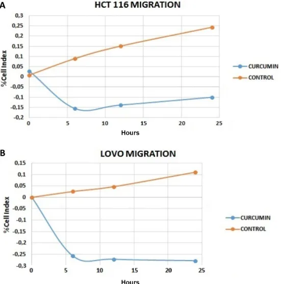 Figure 4. Cell migration results of curcumin on A: HCT-116 and B: LoVo cell lines at 24 h (Orange control, blue cur- cur-cumin)