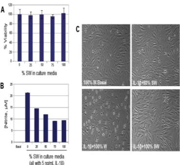 Fig. 1. Human articular OA chondrocytes stimulated with IL-1 b (5 ng/mL) in culture media prepared with different proportions of sulfurous water.