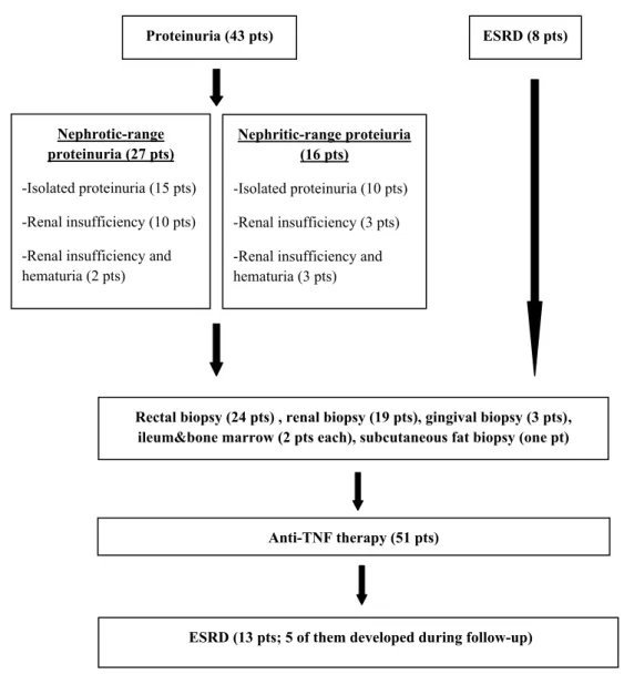 Fig. 2   Presentation findings and investigation of secondary amyloidosis in AS patients