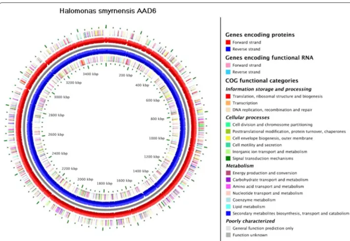 Table 2  General features of the draft genome of H. smyrn- smyrn-ensis AAD6