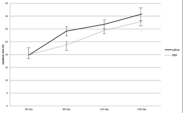 Figure 4. An example of terminal deoxynucleotidyl transferase-mediated dUTP-biotin nick-end labelling (TUNEL) with significant apoptosis rate.