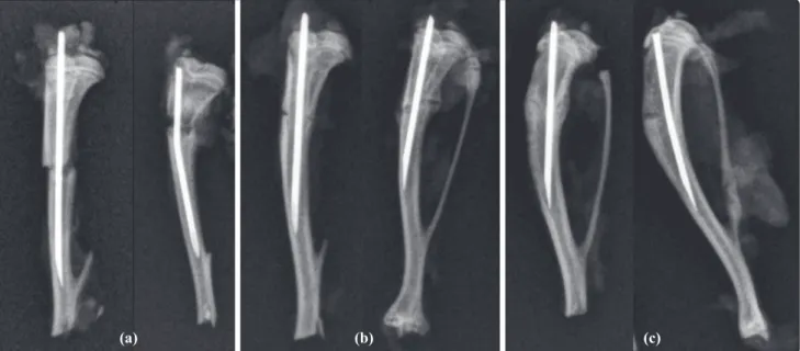 Table 1.  The data of variables belonging to different groups are given as mean, standart deviation and p values Sacrification time  Groups  Radiologic  New bone per fracture  Osteoblast  Fracture