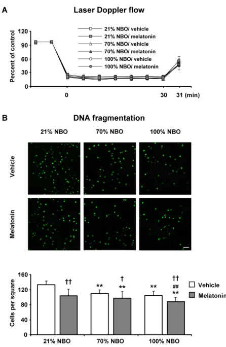 Figure 1: Effects of normobaric oxygen and melatonin on disseminate neuronal injury.  A
