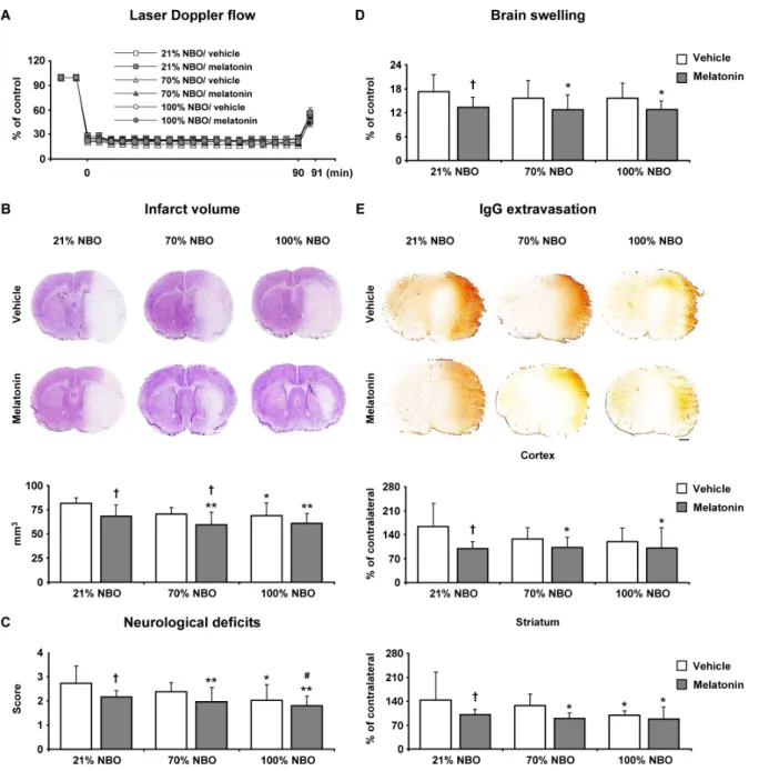 Figure 2: Effects of normobaric oxygen and melatonin exposure on neurological deficits, infarct volume, brain swelling  and blood-brain barrier permeability