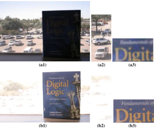 Fig. 8 a1 First input image. a2 A zoomed-in region. a3 Another zoomed-in region (with increased brightness for visibility purposes)