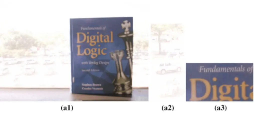 Fig. 10 a1 Focus-stacked image when Fig. 8b1 is the reference. a2–a3 Corresponding zoomed-in regions