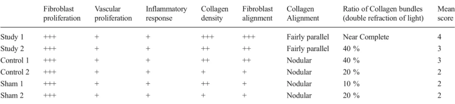 Table 1 Assessment of collagen fibril organization with the polarized light microscope