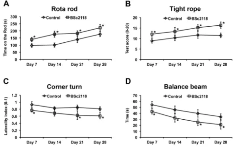 Fig. 4 Systemic BSc2118 delivery does not influence cerebral proteasome activity to a major extent