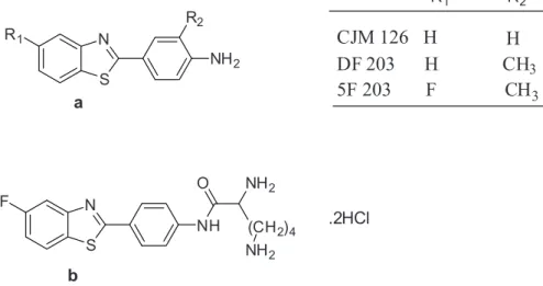 Figure 1. Chemical structures of some 2-(4-aminophenyl)benzothiazoles (a) and Phortress (b).