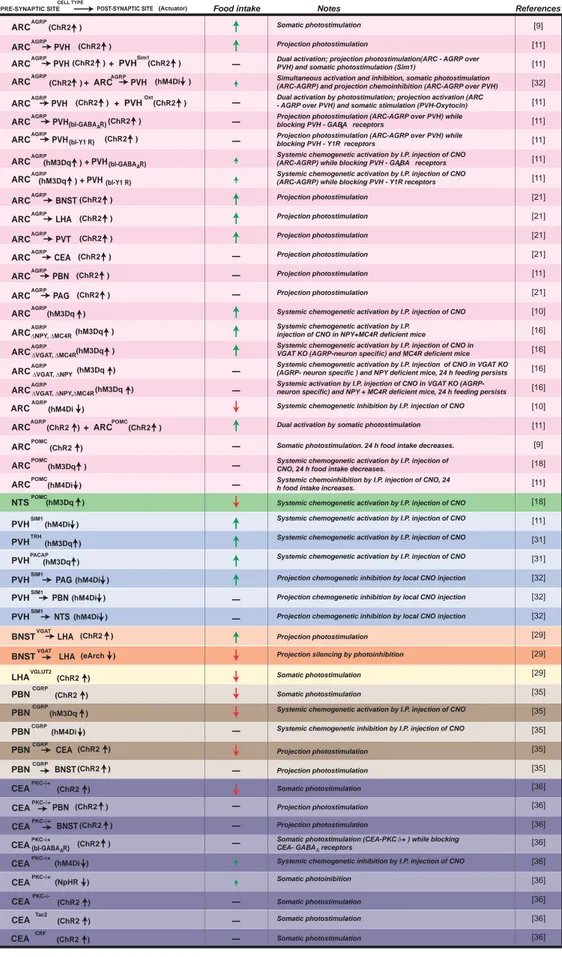 Table 1.  Cell type-specific neu- neu-ronal circuit manipulations that  regulate food intake