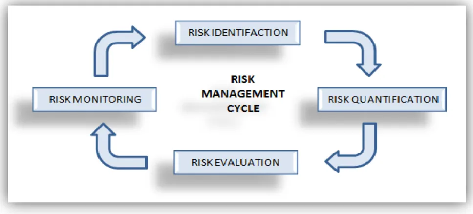 Figure 1 : Risk Management Steps 