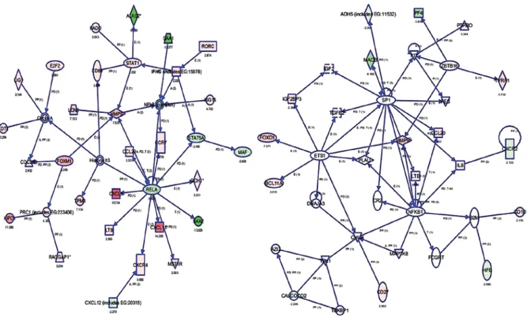 Figure 1. Significantly upregulated and downregulated genes were identified around the NF κ B and MMP-9 gene networks