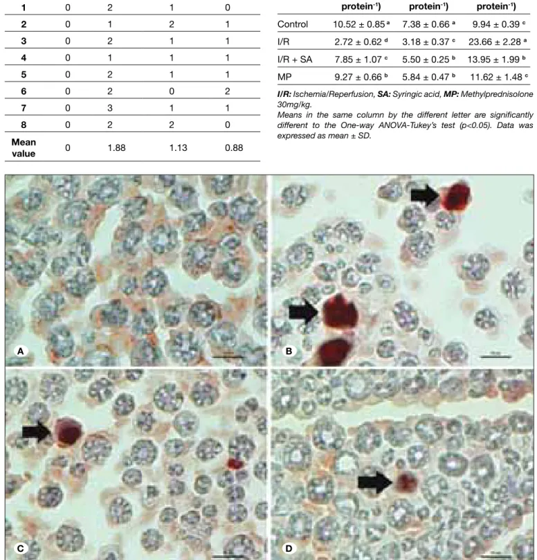 Table II: The  Scores  of  Caspase-3  Positive  Cells  According  to  Schmeichel et al