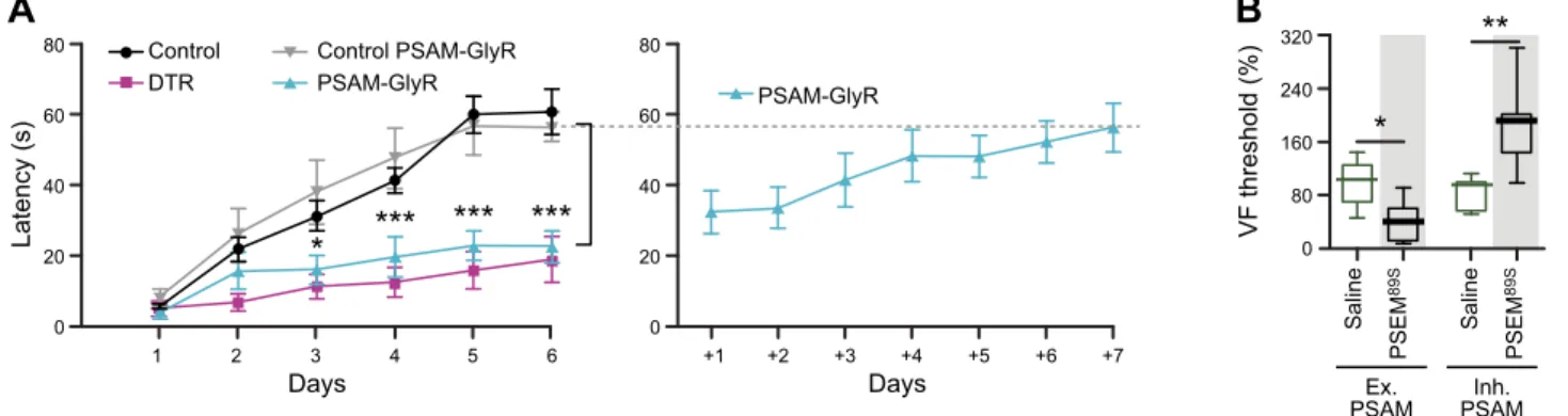 FIGURE 7. Efficacy, durability, and bidirectionality of PSAM/PSEM neuron perturbations
