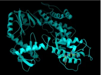 Figure 3. Binding of the TDA 8 compound to the first region of the telomerase enzyme.