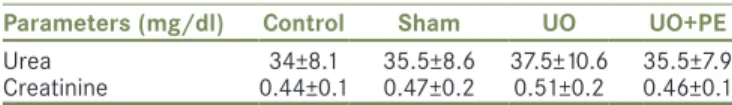Table 1: Effects of UO alone and its combination with PE on  plasma urea, creatinine levels in rats