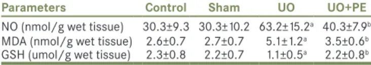 Table 2: Effect of PE on the levels of MDA, GSH, and NO in  each rat group