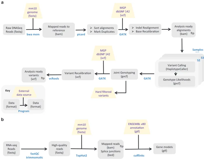 Figure 2. Overview of mapping pipeline for genomic (a) and transcriptomic (b) reads. See Supplementary Material Text 2 for full details