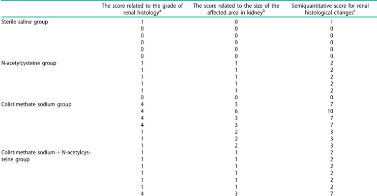 Table 3. The values of renal histological changes among experimental groups.