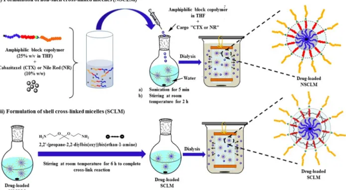 Figure 1. (A) Scheme for the synthesis of PEG-b-PAA-b-PMMA copolymers. (B) A schematic drawing showing the formulation of PEG-b-PAA-b- PEG-b-PAA-b-PMMA polymers into NR- and CTX-loaded NSCLM and SCLM micelles.