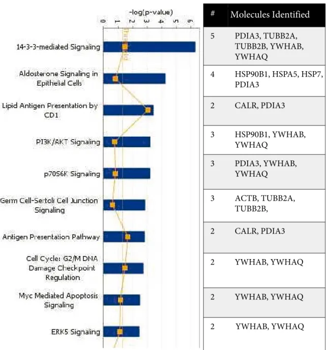 Figure 5. Top canonical pathways and biological functions based on the Ingenuity Pathway Analysis (IPA) of  differentially regulated genes in TAAs