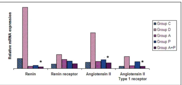 Fig. 2. Renal mRNA expression of RAAS parameters in 5 treatment groups. Group D: Diabetic nephropathy; 