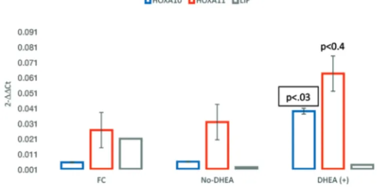 Figure 1. The relative gene expression was determined  using the 2 −ΔΔCT  method. All data were compared with the  fertile control group and normalized to ACTB gene (actin,  beta) mRNA content