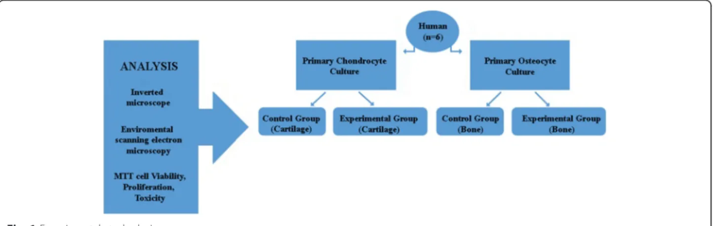 Fig. 1 Experimental study design