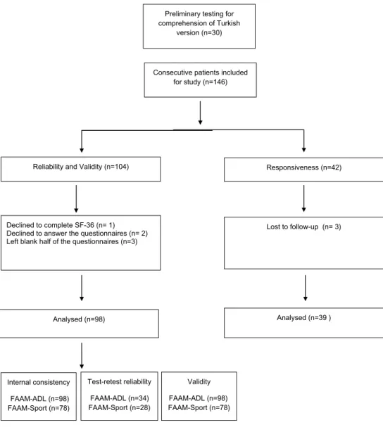 Fig. 1   Flowchart of the study  design