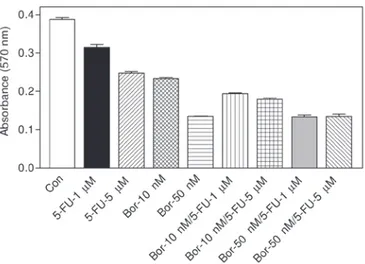 Figure 2. Effect of bortezomib and cisplatin combination on cell viability. 