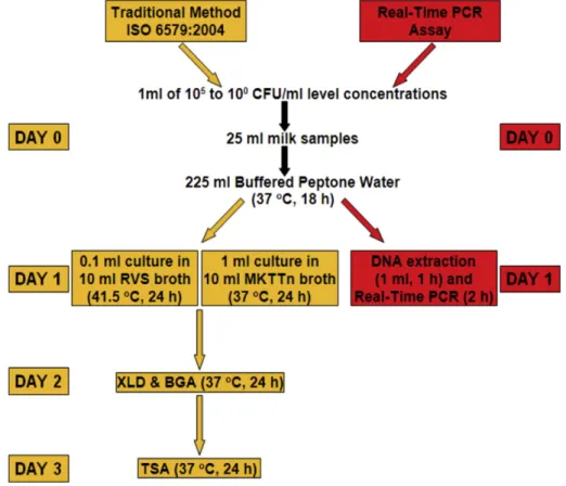 Fig. 1. Flow diagram of the traditional culture method and the Real-Time PCR assay for Salmonella analyses in milk samples