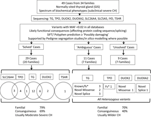 Figure 1. Schematic illustrating case selection, variant filtering, and distribution of mutations in the cohort of patients studied with CH and GIS.