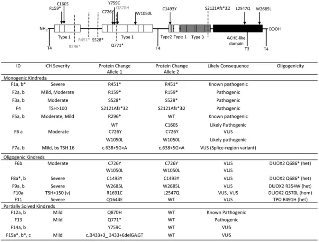 Figure 2. Summary of TG mutations identified in the study and the associated biochemical phenotype