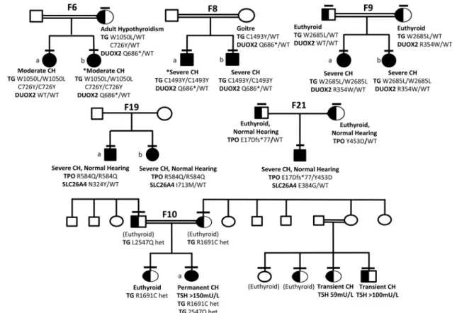 Figure 5. Genotype-phenotype segregation in six kindreds with oligogenic variants. Horizontal bars denote individuals who have been genotyped