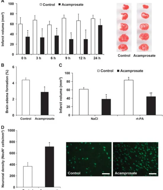 Figure 1. Acamprosate is neuroprotective and ameliorates recombinant tissue plasminogen activator (rt-PA)-induced toxicity