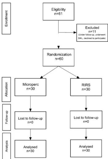 Fig. 1   Flow of the patients in the study