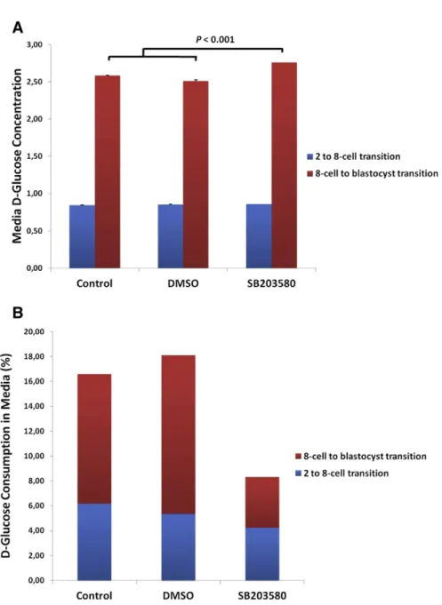 Fig. 5. Inhibition of p38 MAPK affects glucose uptake from media. D-glucose concentrations from spent incubation droplets were measured after 24 h (representing the 2-cell to 8-cell transition, N = 20 embryos per groups) and 48 h (representing the 8-cell t