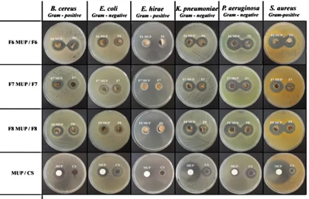 Fig. 8. Zone inhibition diameters of formulations against S. aureus, E. coli, E. hirae, K