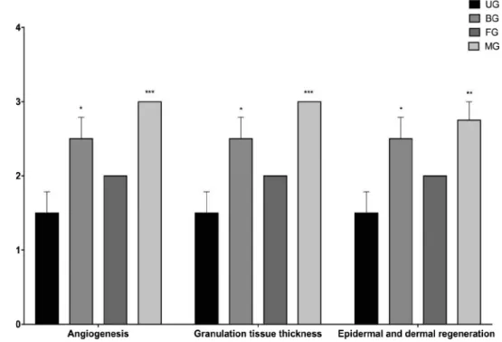 Fig. 11. Histological scores of granulation tissue thickness, angiogenesis and epidermal-dermal regeneration of untreated (UG), bactroban (BG), blank film (FG), mupirocin film (MG) groups.