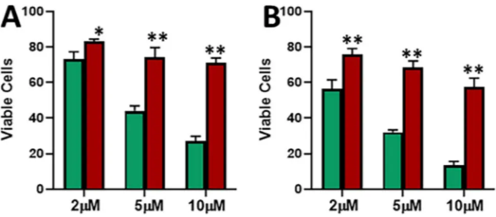 Figure 2.  Induction of apoptosis by tamoxifen and effects on migration. Parental MCF-7 (green) and  tamoxifen-resistant MCF-7-TAM cells (red) were treated with indicated concentrations of tamoxifen for 48  (A) or 72 (B) hours and then the apoptosis was de
